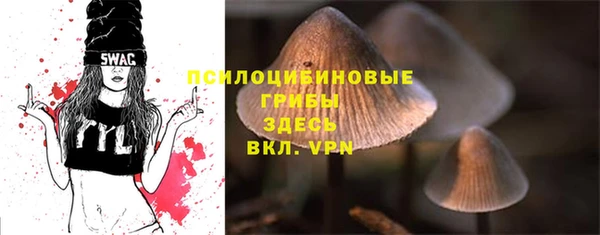стаф Баксан