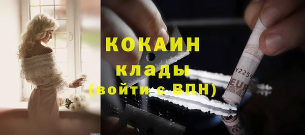 стаф Баксан