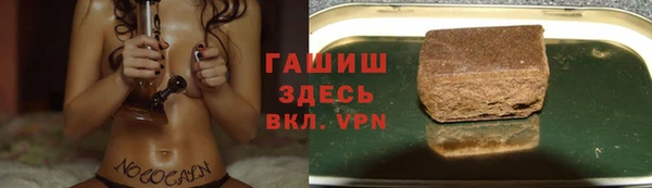 гидра Балахна