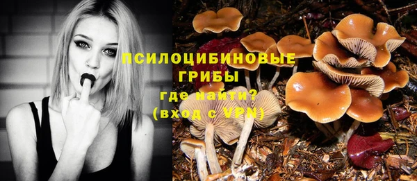 стаф Баксан