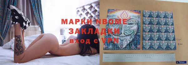 стаф Баксан